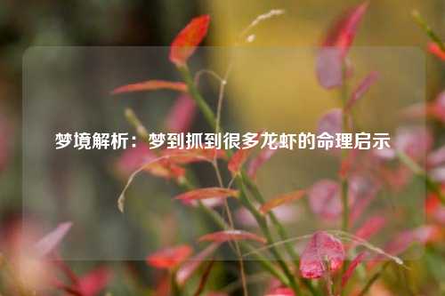 梦境解析：梦到抓到很多龙虾的命理启示