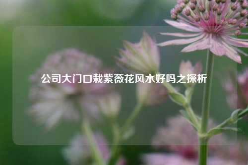 公司大门口栽紫薇花风水好吗之探析